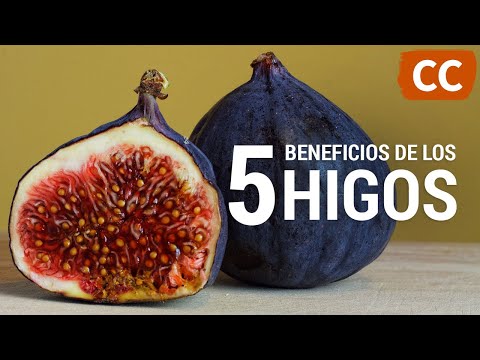 Brevas de higuera: el delicioso fruto con propiedades sorprendentes