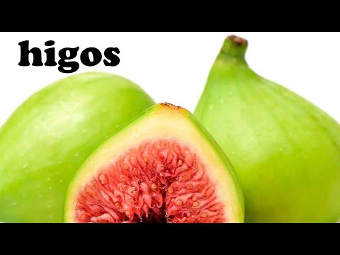 Higuera de higos verdes: El sabor y beneficios de esta fruta única